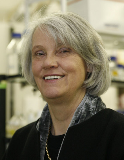 Prof. Dr. Karin Mölling (Foto: Wissenschaftskolleg Berlin)